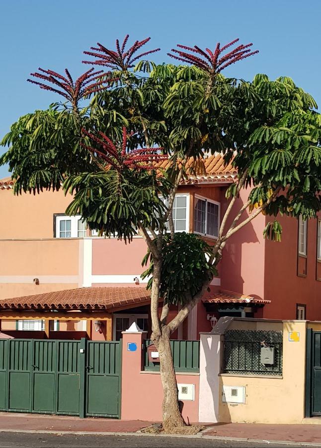 Rosas By Villas Rinamar Las Rosas (Arona, Tenerife) Exterior foto
